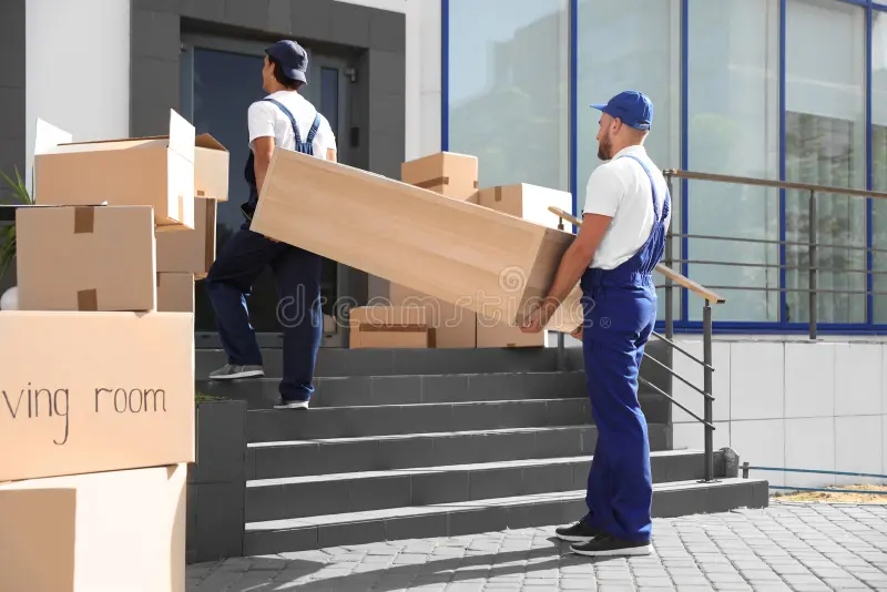 Home 7 house removals